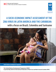 A socio-economic impact assessment of the Zika Virus in Latin America and the Caribbean: with a focus on Brazil, Colombia and Suriname